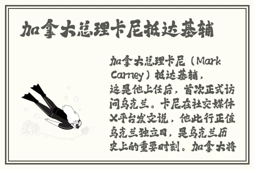 大哥成人导航